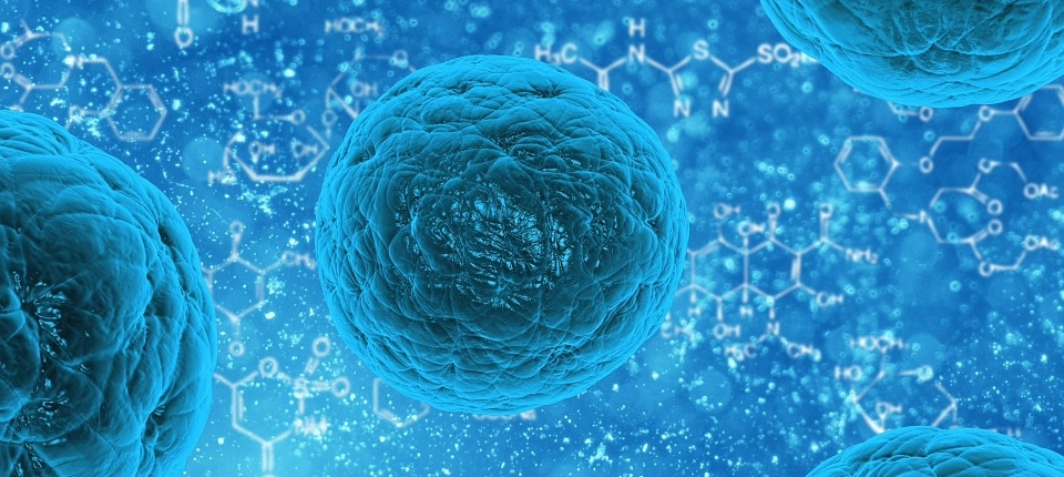 bacteria-163711_960_720-960x430 Servizi