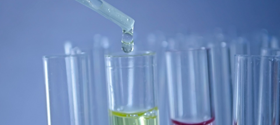test-214186_960_720-960x430 Servizi